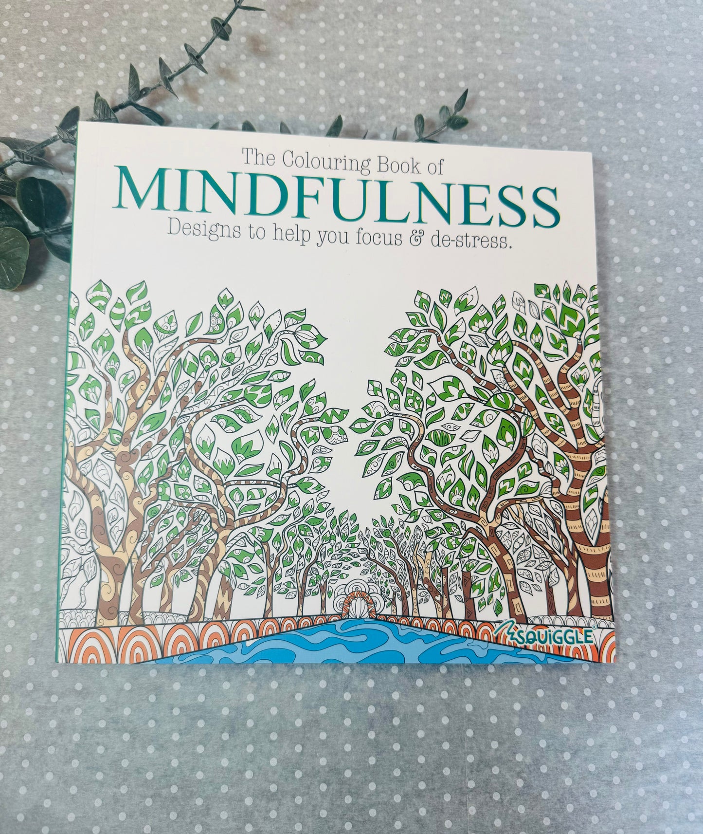 Mindful Colouring Book (picked at random)